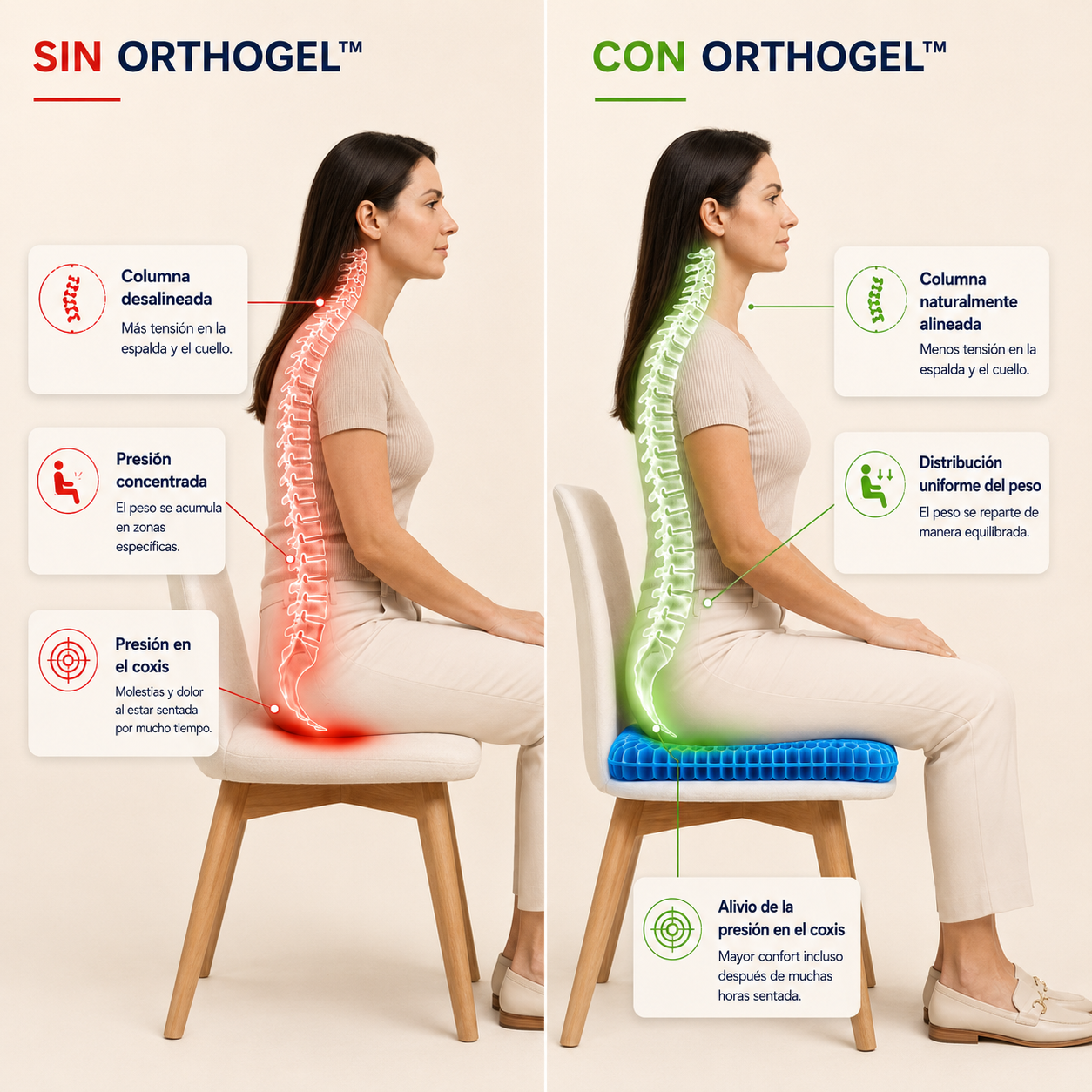 OrthoGel™ Cojín Ergonómico [Alivio y Comodidad al Sentarte]